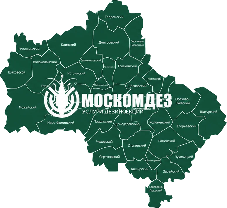 Карта выезда: Краснознаменск и Московская область